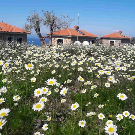 Ktima Kiourelioti Villa Skala Sykamineas Buitenkant foto