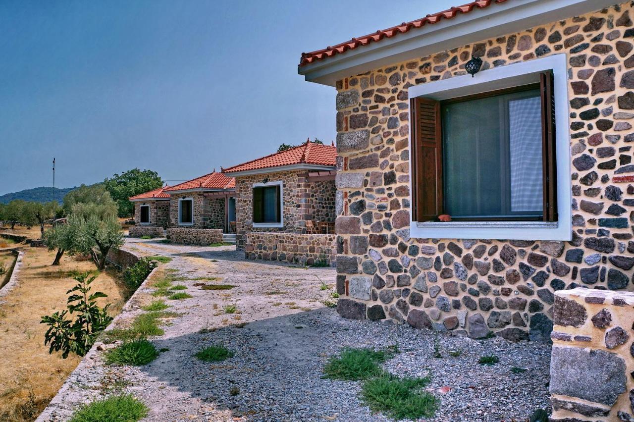 Ktima Kiourelioti Villa Skala Sykamineas Buitenkant foto