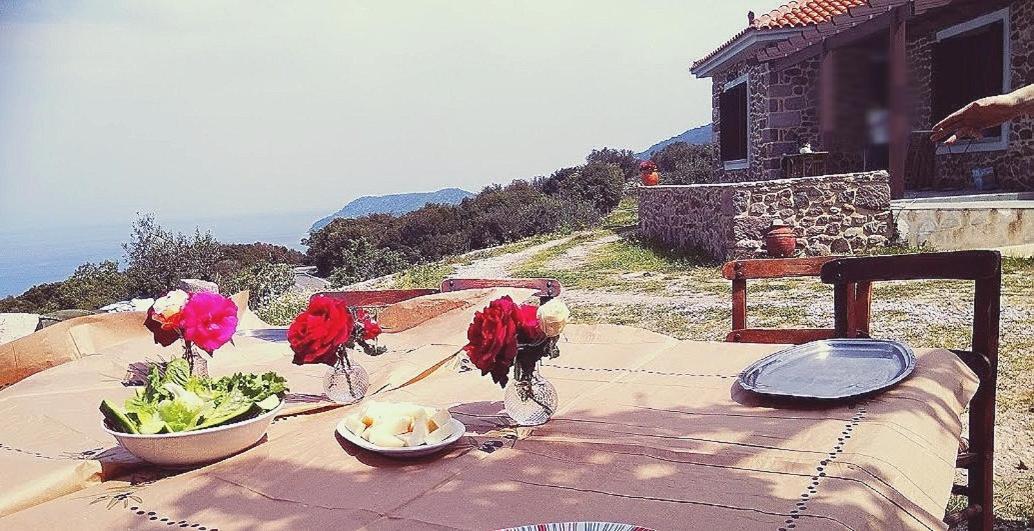 Ktima Kiourelioti Villa Skala Sykamineas Buitenkant foto