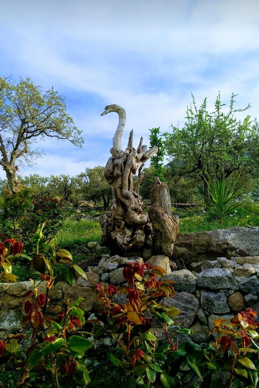Ktima Kiourelioti Villa Skala Sykamineas Buitenkant foto
